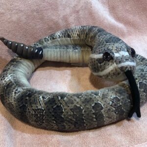 Ricky, the Prairie Rattlesnake