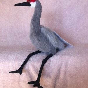 Sandy, the Sandhill Crane