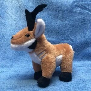 Prince, the Pronghorn